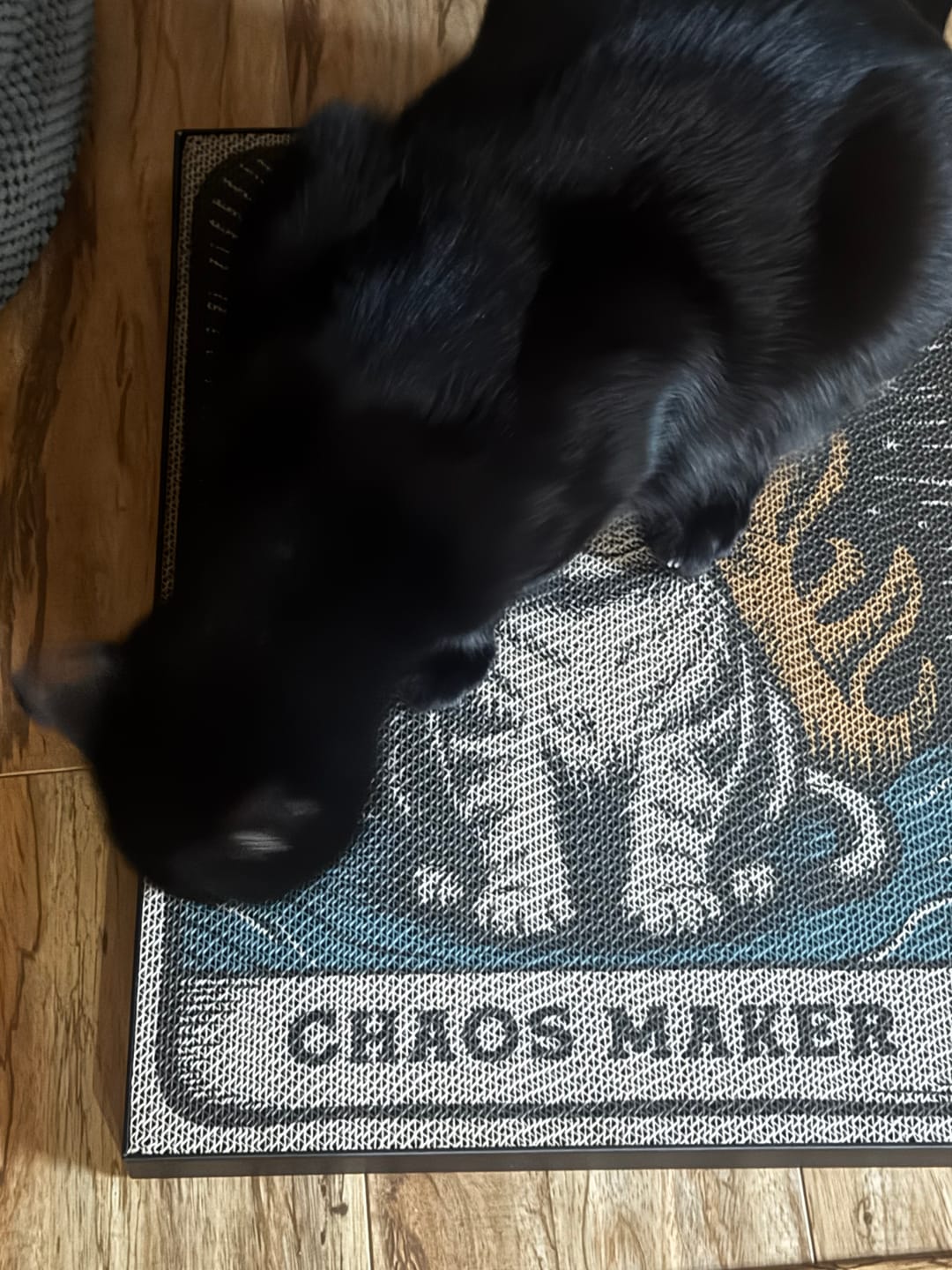 Customer photo review of Chaos Maker - Luxury Cat Scratching Board