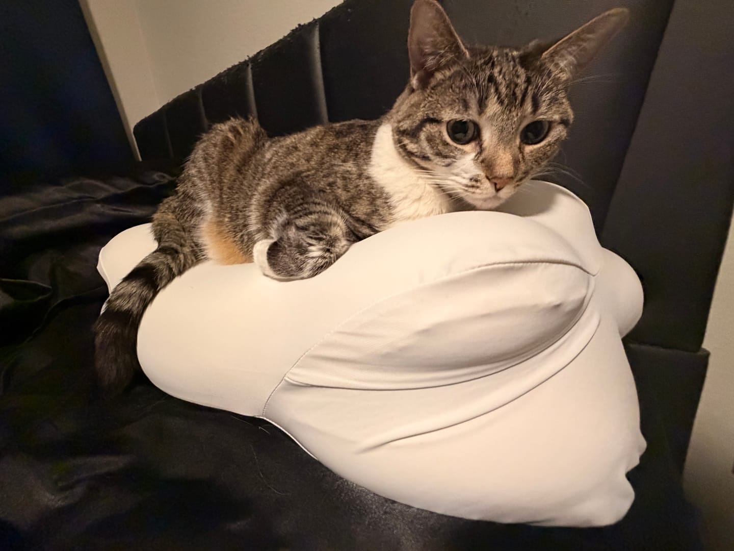 Customer photo review of CloudAlign™ Pillow