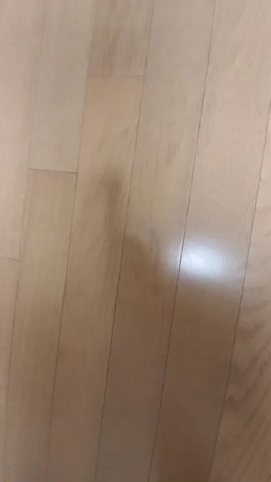 Customer photo review of Mastic à bois Aquelie pour fissures et trous