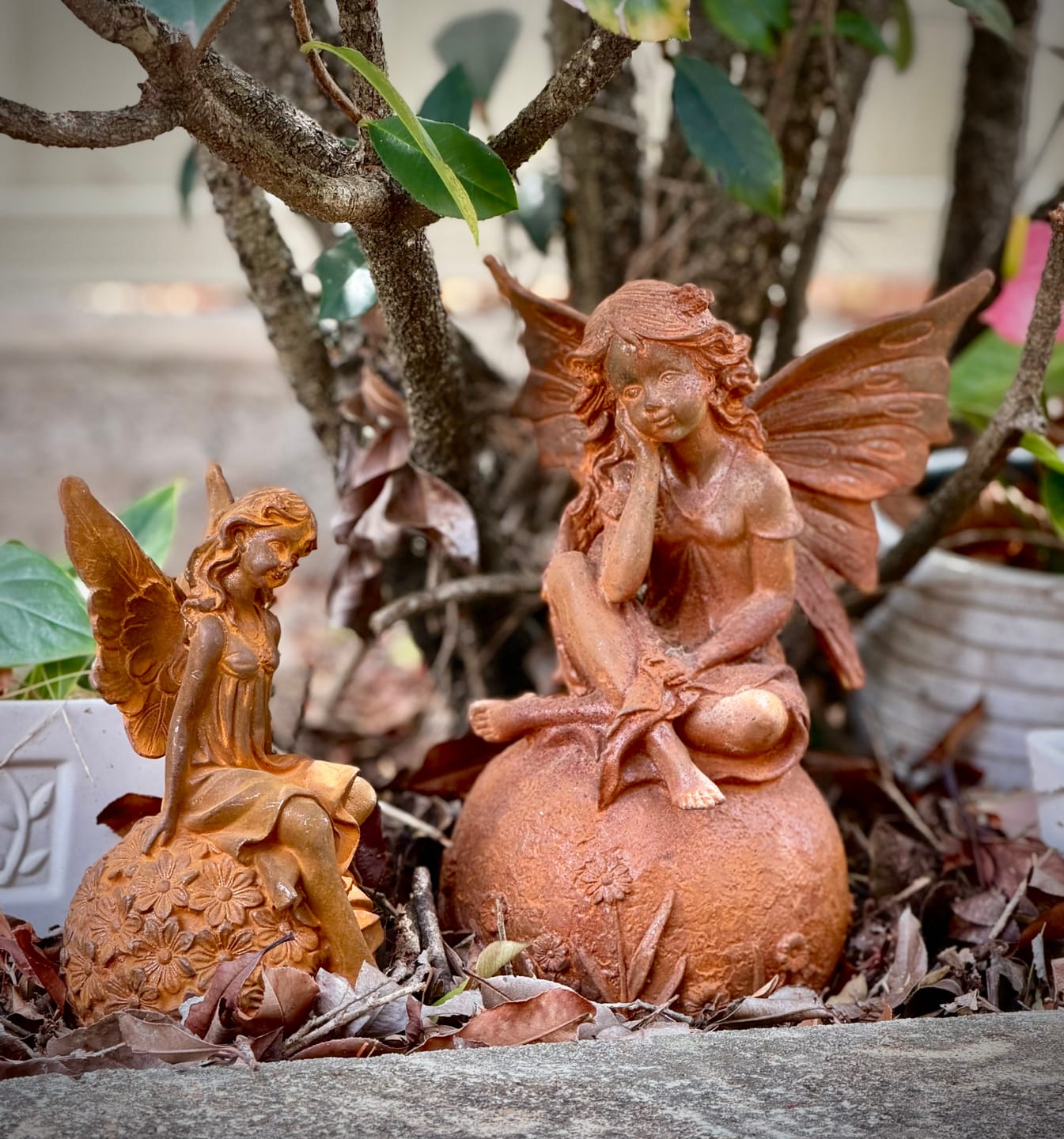 Customer photo review of Miss Angelique French Provincial Fairy Statue, Rust Cast Iron 21.5cm