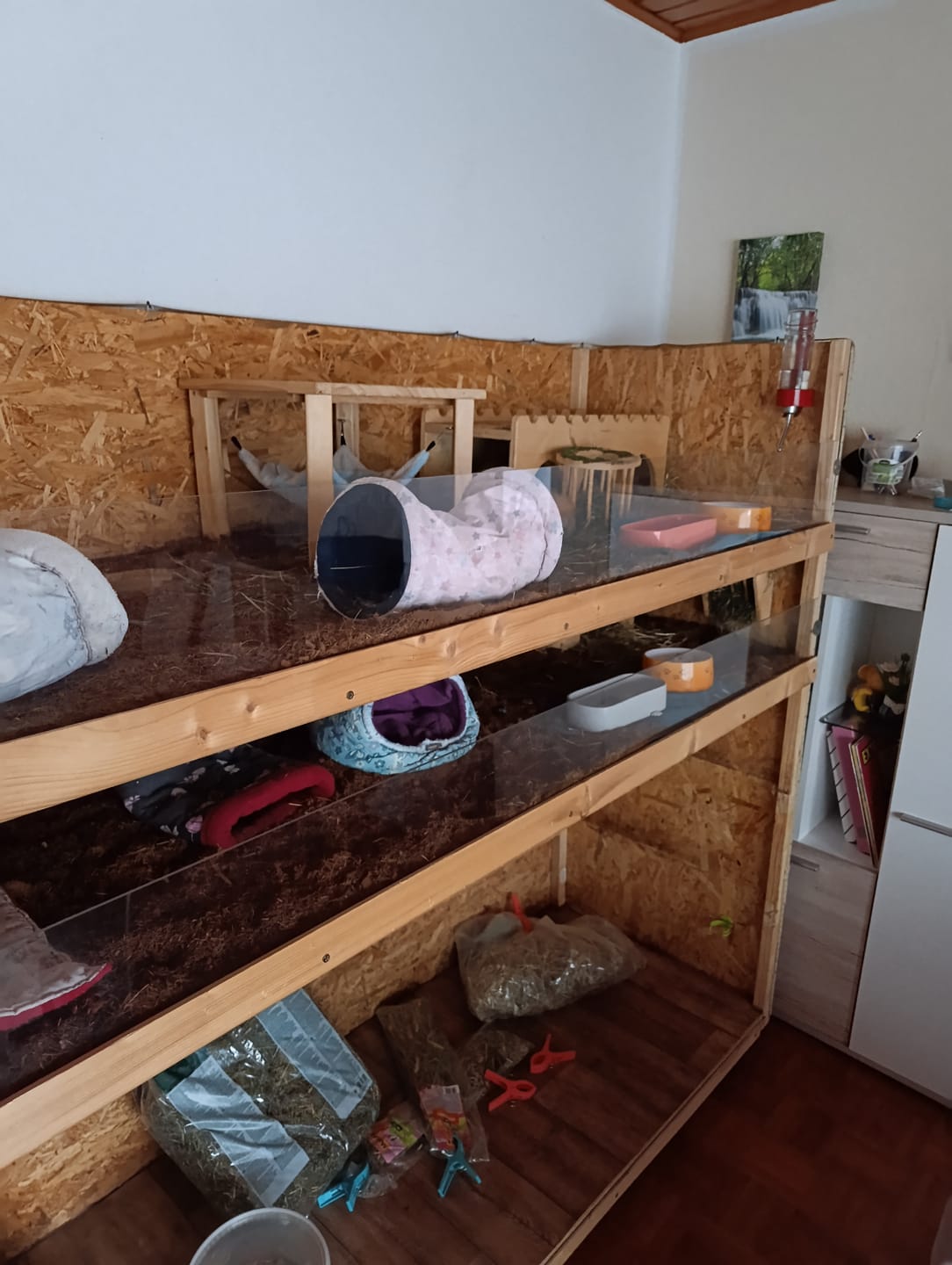 Customer photo review of KOKORO® Pferdeeinstreu