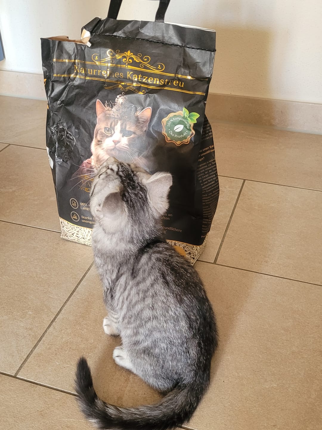 Customer photo review of Katzenstreu 2+1 Aktion