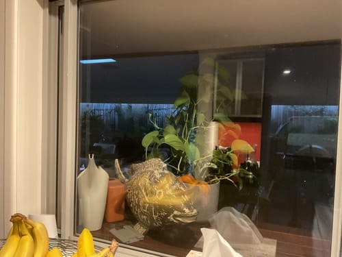 Customer photo review of KoalaBrush 2.0 – Deep Cleaning Made Easy