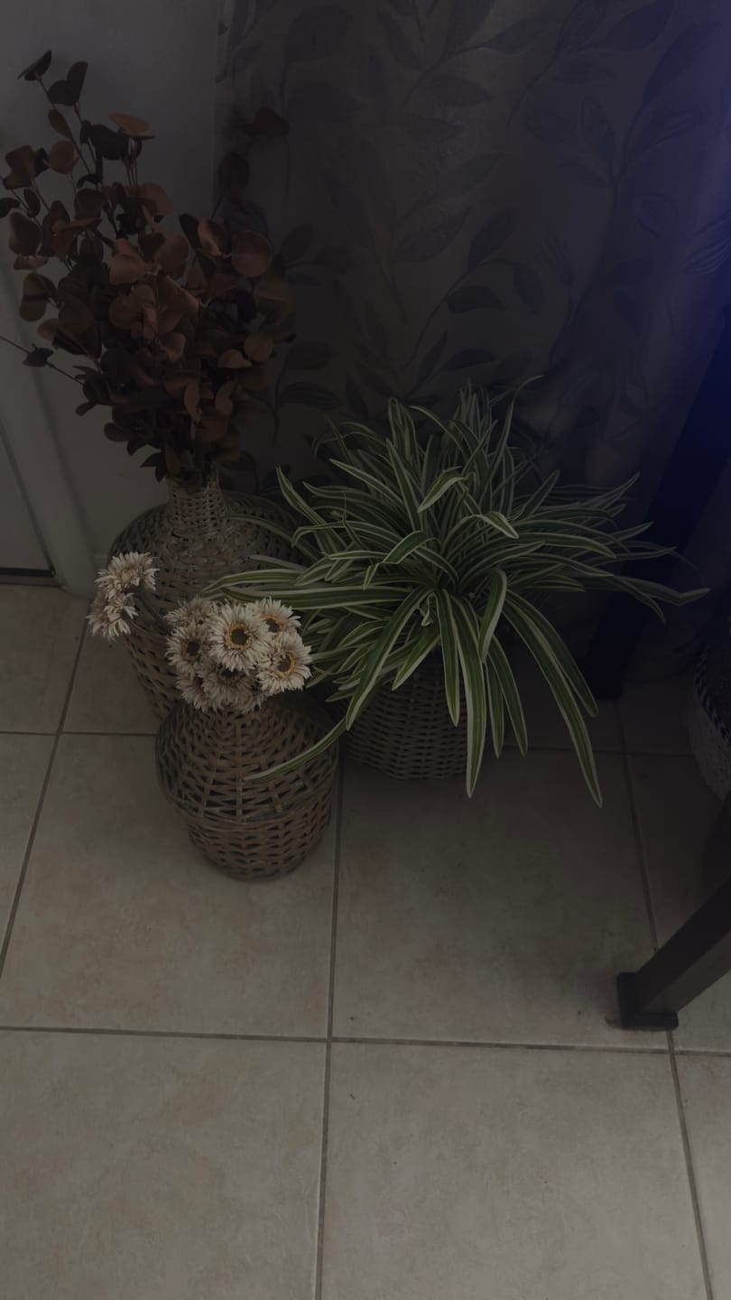 Customer photo review of Champagne Blush Fall Daisy Bunch