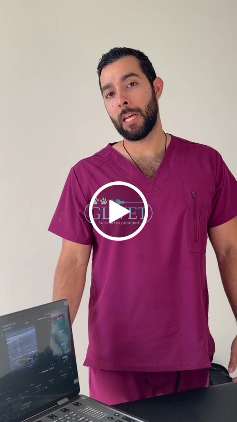 Customer video review of Ultrasonido portátil VETUSE5 + Transductores (Microconvexo + Lineal) - Marca Mindray Animal Medical