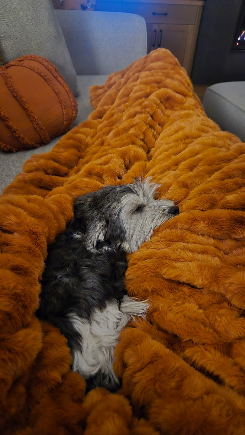 Customer photo review of Hugs Desert Sun Blanket