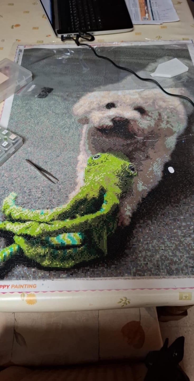 Customer photo review of Eigen Foto Diamond Painting
