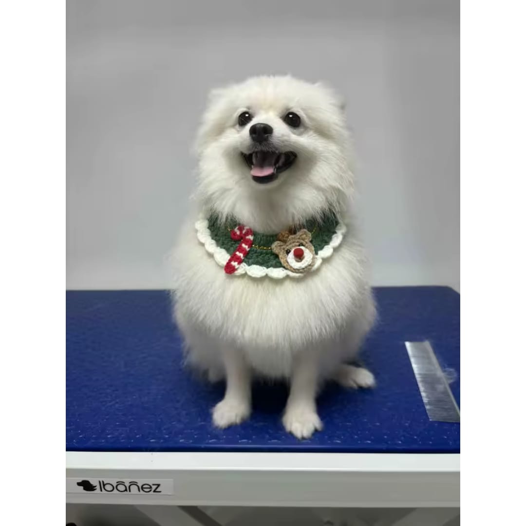 Customer photo review of COLLAR NAVIDEÑO MIAU NAVIDAD