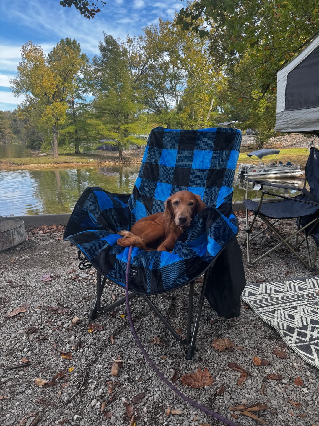Customer photo review of The Chair Blanket