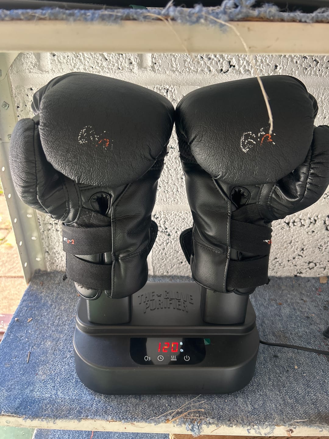 Customer photo review of The Glove Purifier V2 with Thermal Heating and O3-Enabled Active Technology Built for Preserving Boxing Gloves