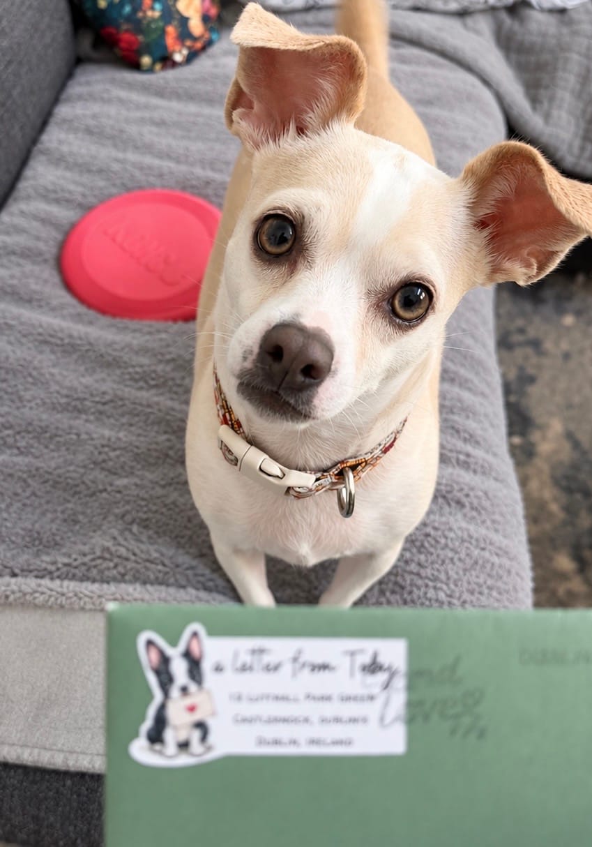 Customer photo review of 💌 Toby's Letter Club