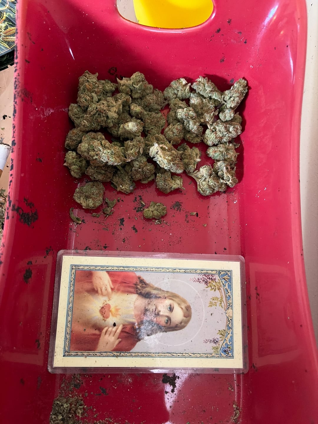 Customer photo review of Jack Skellington THCA Flower