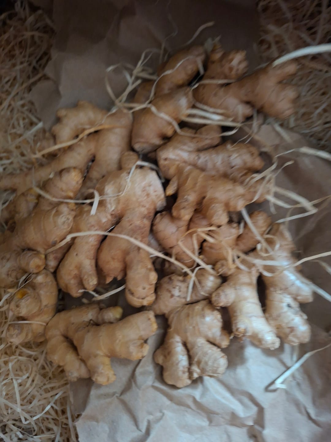 Customer photo review of Ingwer Bio aus Peru (mit Schale verwertbar) Aktionspreis %