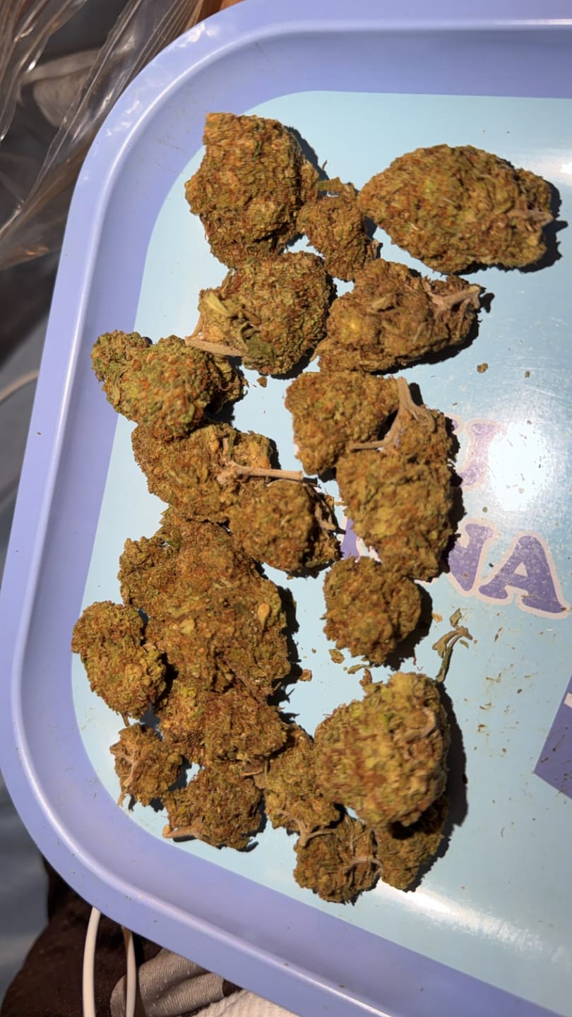 Customer photo review of Glitter Bomb Light Dep THCA