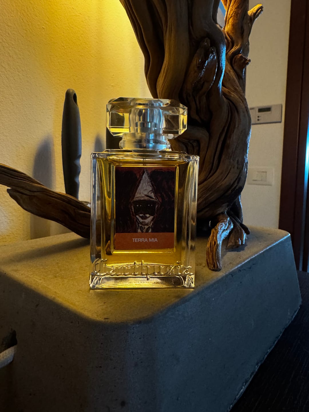 Customer photo review of CARTHUSIA - TERRA MIA