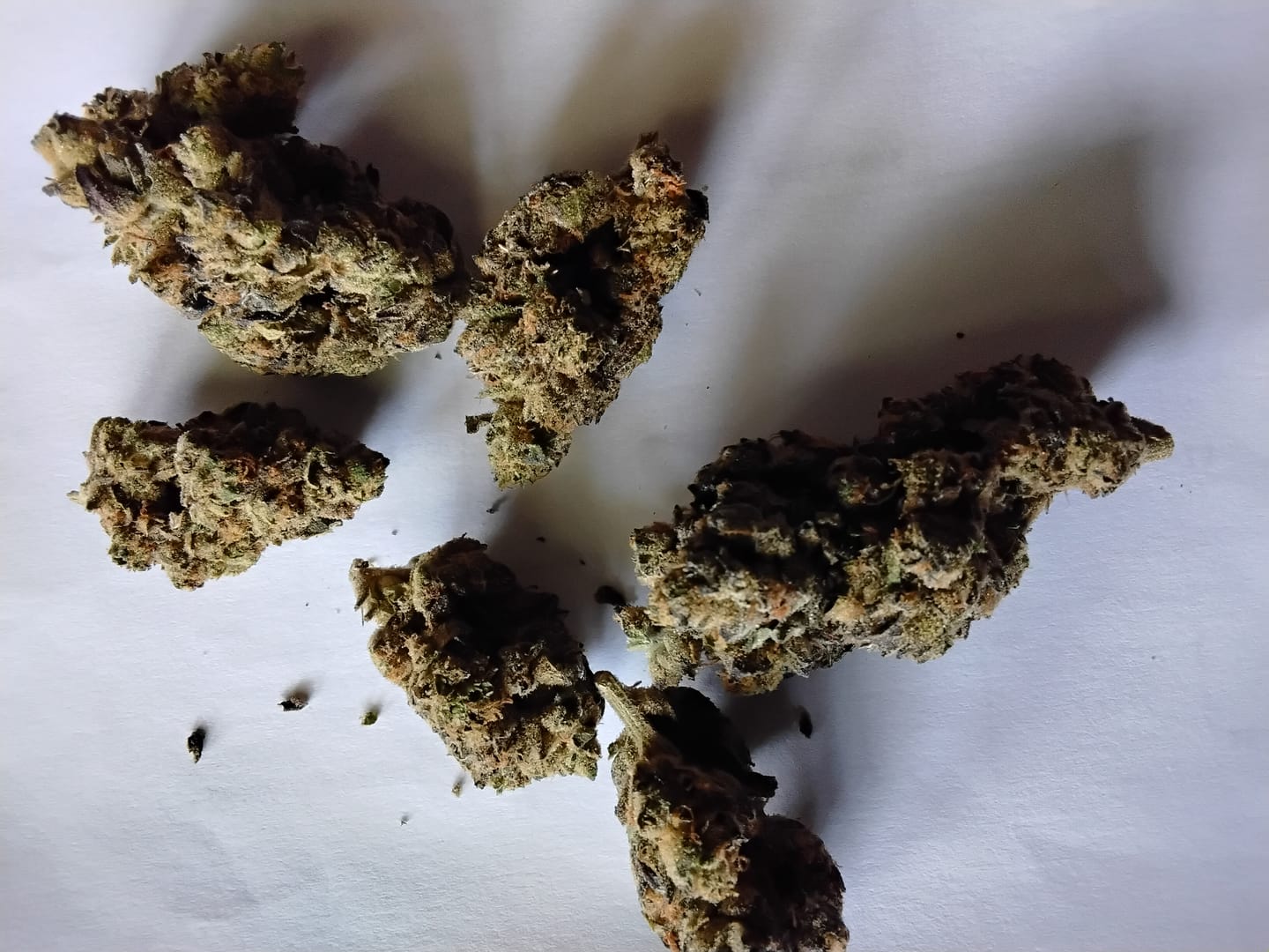 Customer photo review of Puffaroo - Red Velvet - 28 Grams - Hybrid