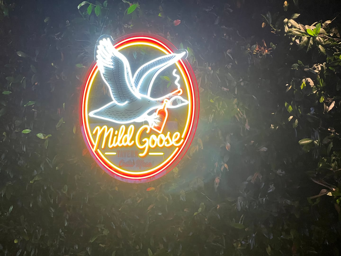 Customer photo review of Mild Goose Tavern Costa Mesa - Premium Neon Artwork