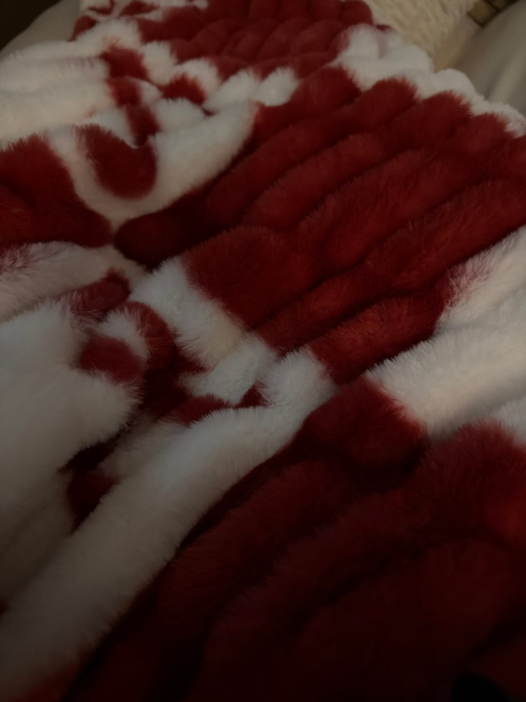 Customer photo review of University of Alabama Crimson Tide Blanket - Hugs