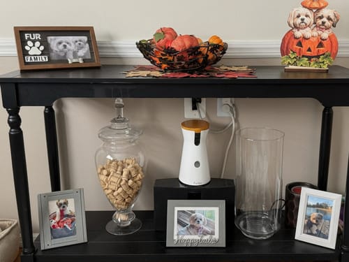 Customer's custom wooden pumpkin plaque sitting on a table alongside home decor, frames, and pet photos.