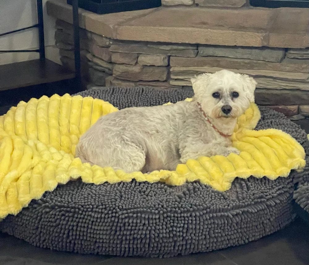 Customer photo review of Emotional Support Blanket