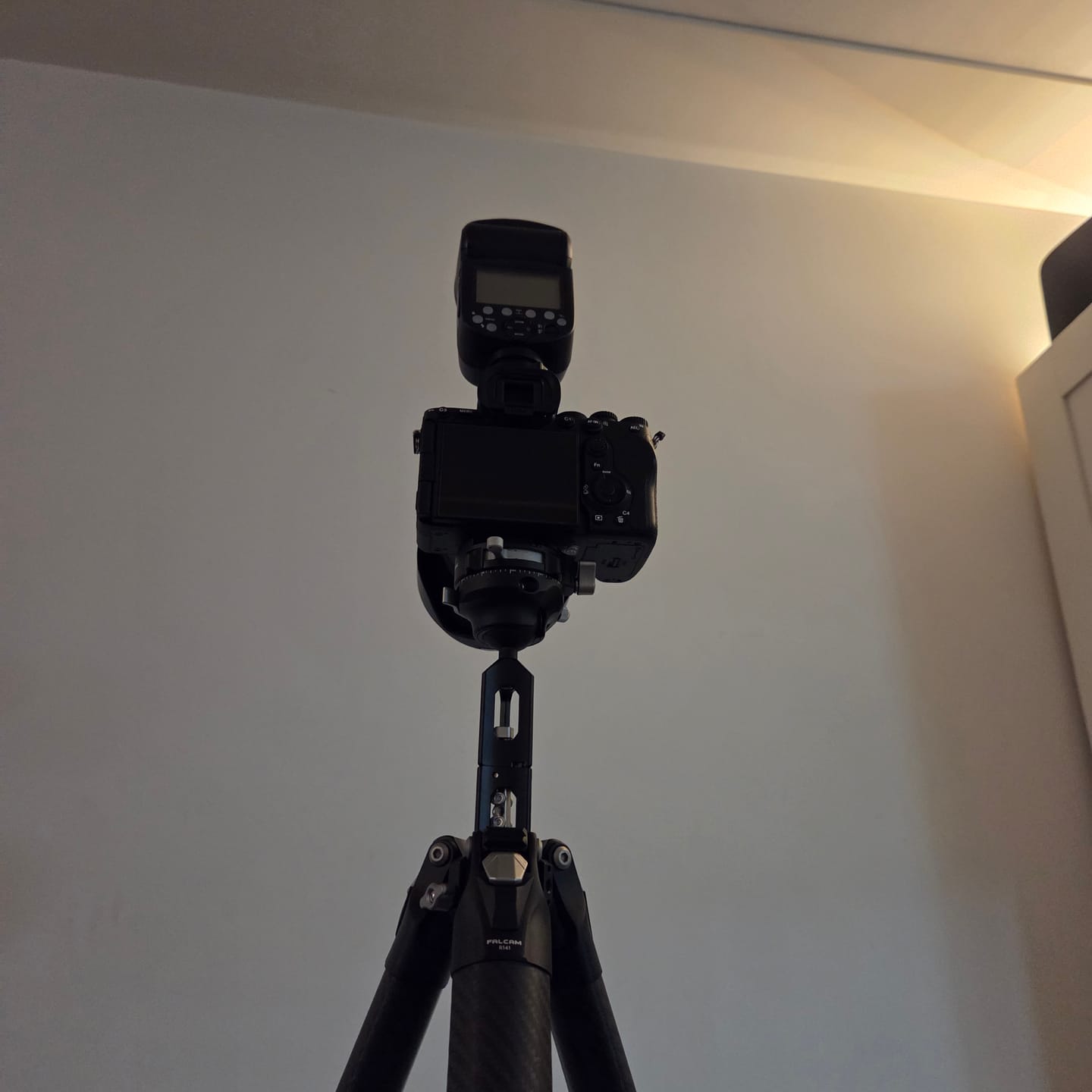 Customer photo review of Falcam F38 and Peak Design Compatible Quick Release Plate 2465