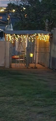 Customer photo review of 100cm Rainbow Nest Swing for Kids | Sensory Tree Swing | Heavy Duty Outdoor & Indoor Saucer Swing 300kg Capacity