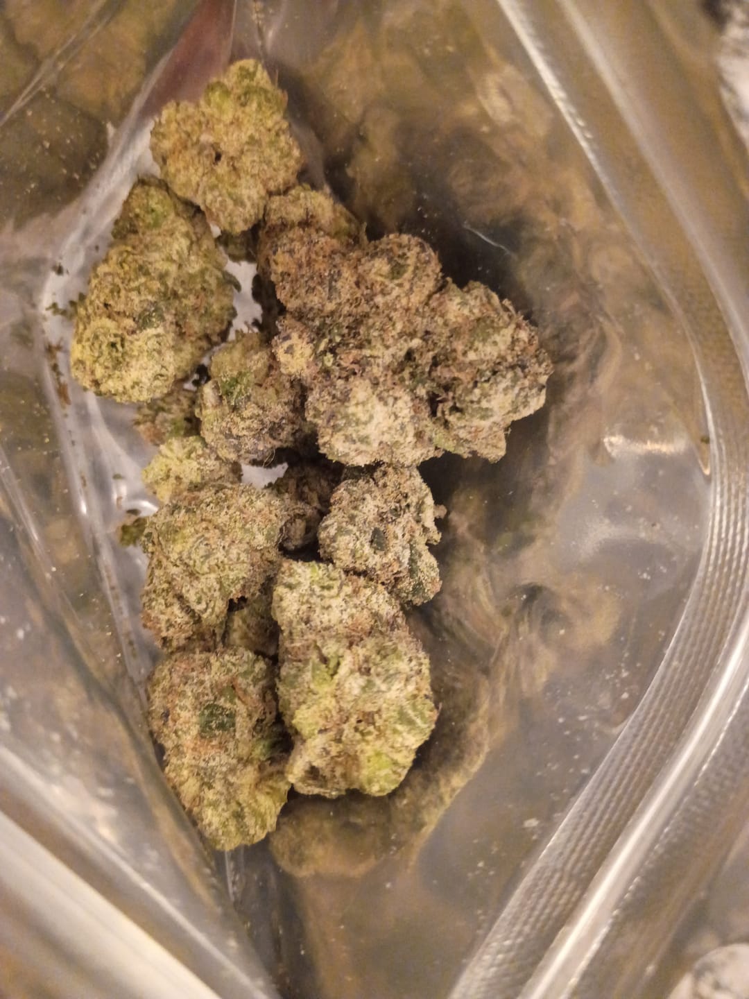 Customer photo review of Exotic Indoor Express THCA Flower (7 Grams)