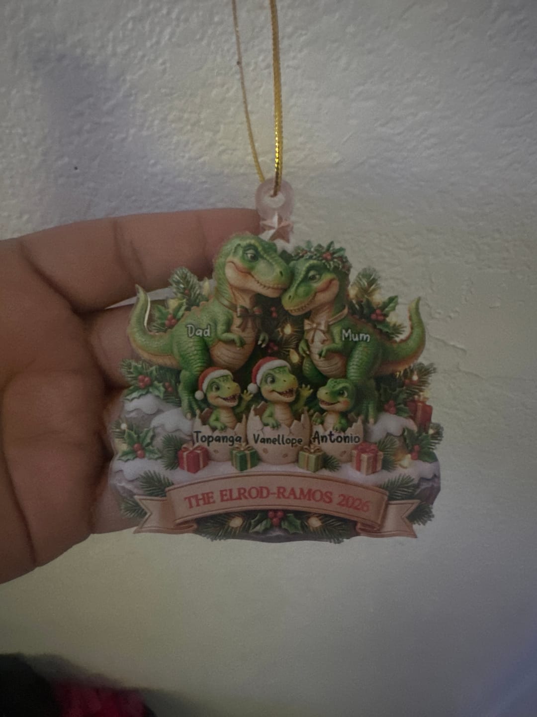 Customer photo review of Dinosaur Family Ornament - Personalized Christmas Gifts For Family