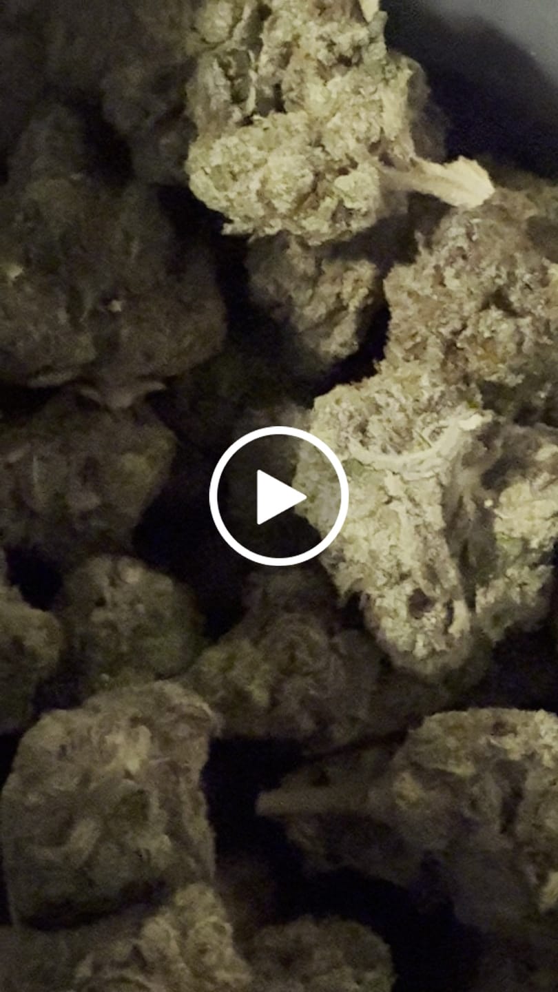 Customer video review of Glitterati Indoor - Bulk - Indica