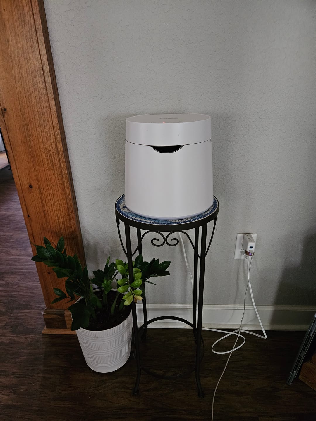 Customer photo review of Carepod One Plus - Stainless Steel Humidifier with Mood Light