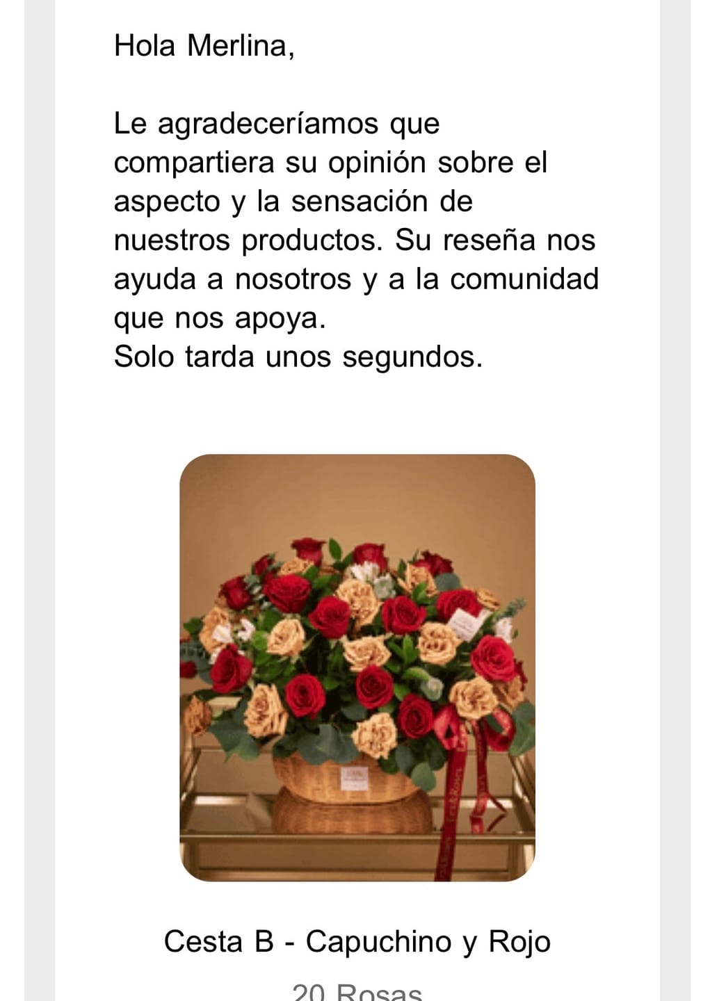 Customer photo review of B Basket - Cappuccino & Red
