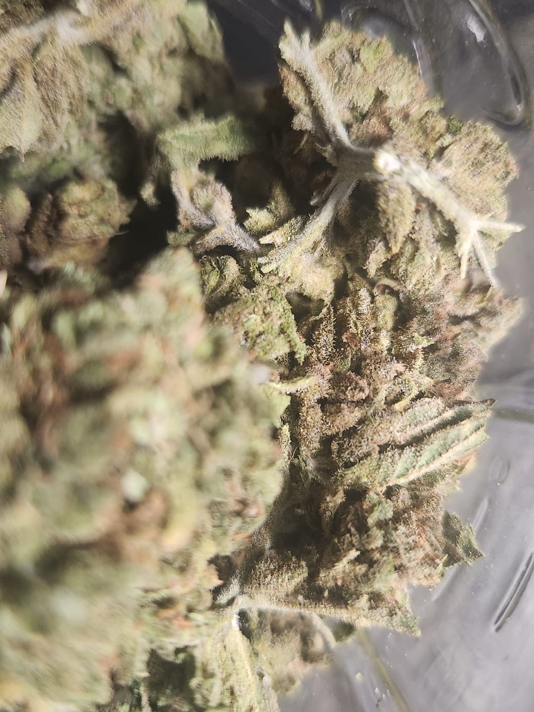 Customer photo review of Black Ice THCA Flower Ounce (28g)