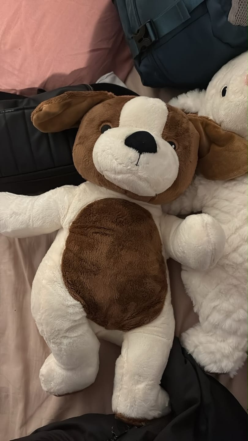 Customer photo review of Lotgenootje Hond 2kg