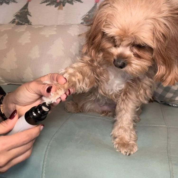 Customer photo review of Limador de Uñas para Mascotas