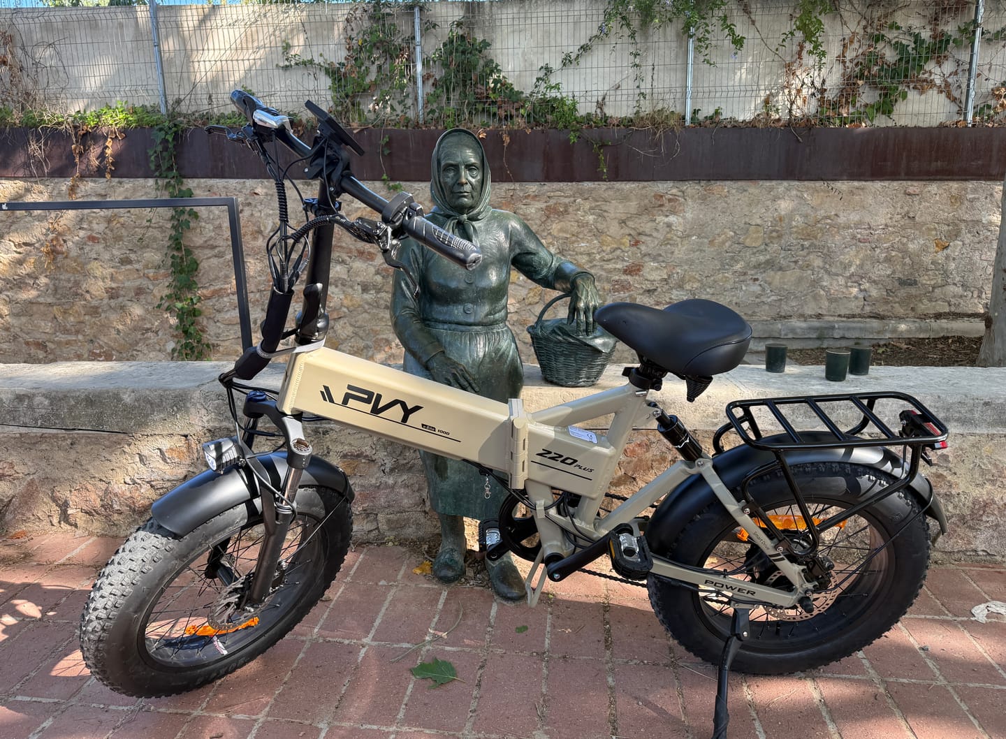 Customer photo review of PVY Z20 PLUS