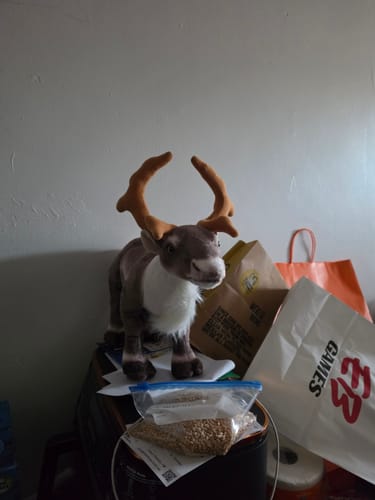 Customer photo review of Caribou Reindeer Soft Stuffed Plush Toy