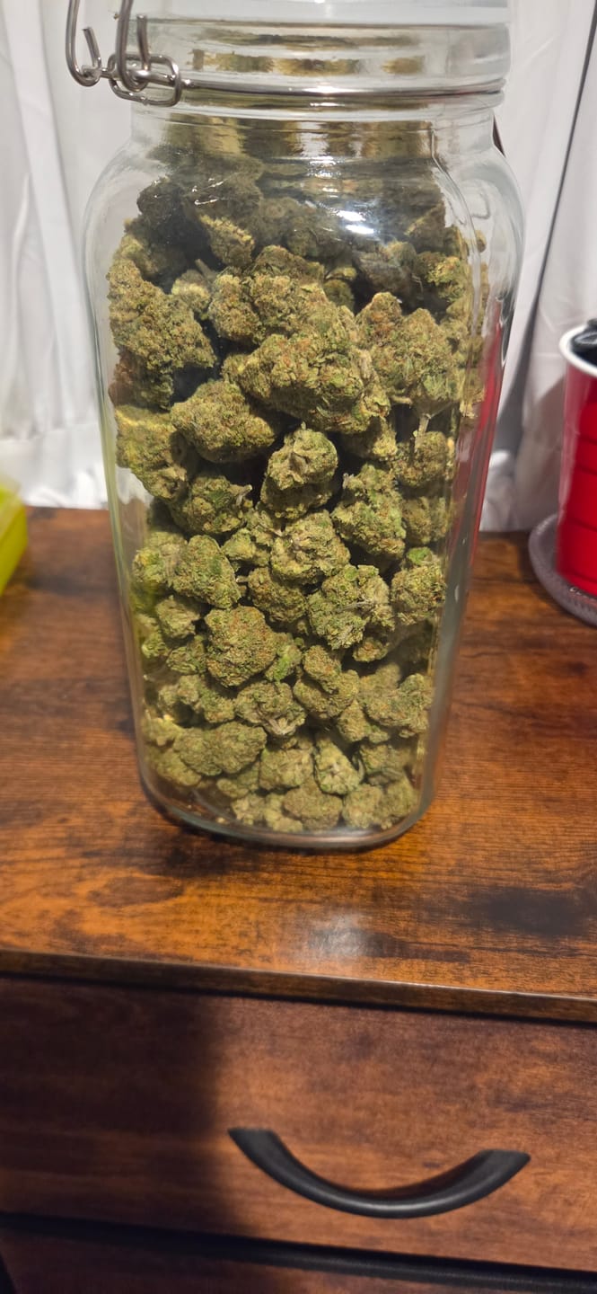 Customer photo review of Strawberry Cough THCA Flower