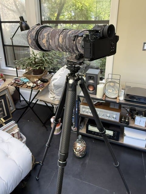 Customer photo review of Falcam TreeRoot Quick Lock Travel Tripod (155cm Height, 5kg Load, F38 Quick Release)