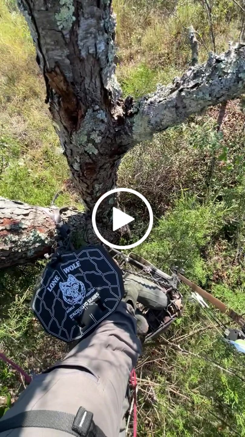 Customer video review of HANG-ON TREESTAND SEAT