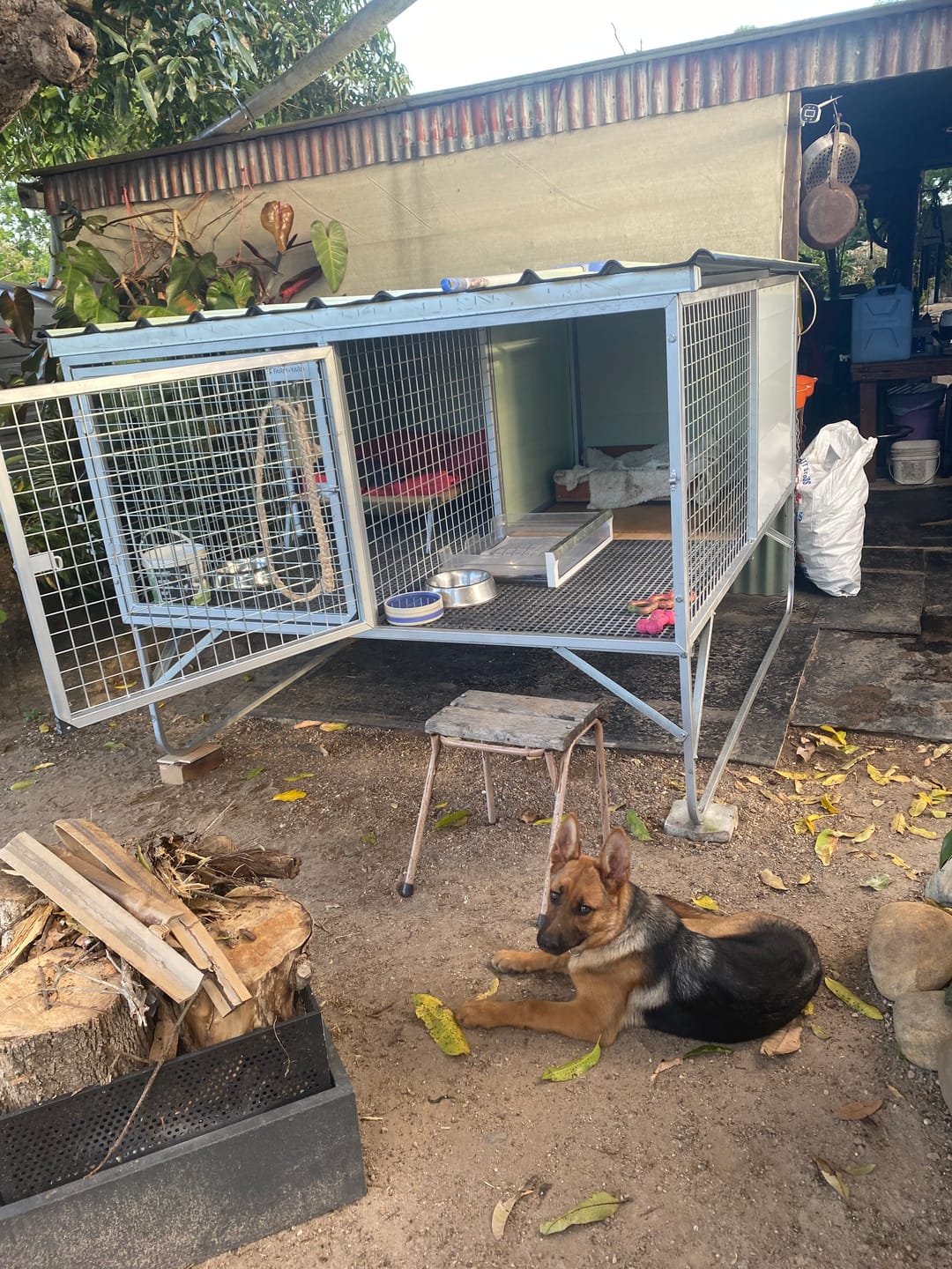 Customer photo review of "Aussie Dog Kennels" Raised Dog Kennel