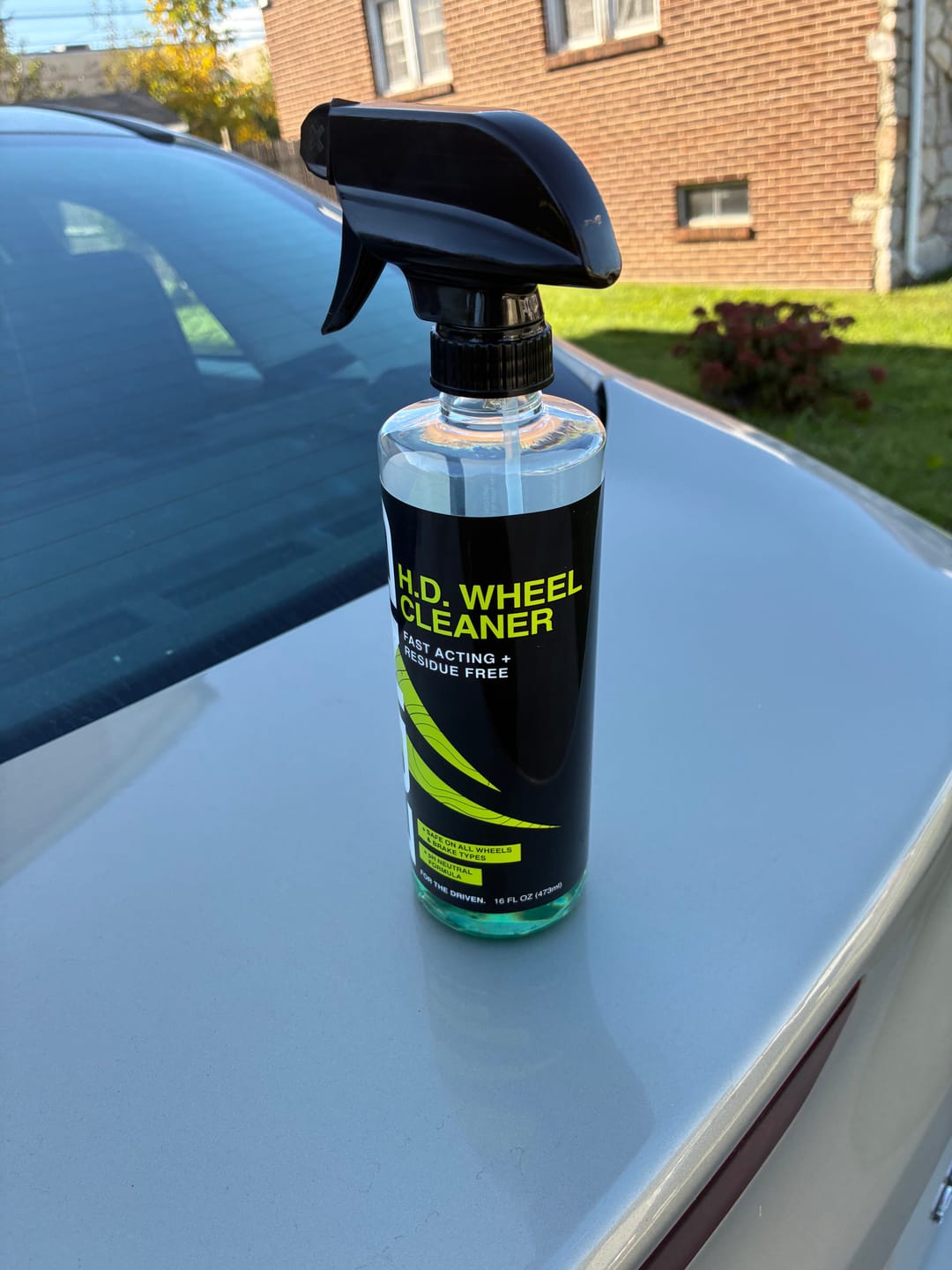 Customer photo review of Rapid Detail