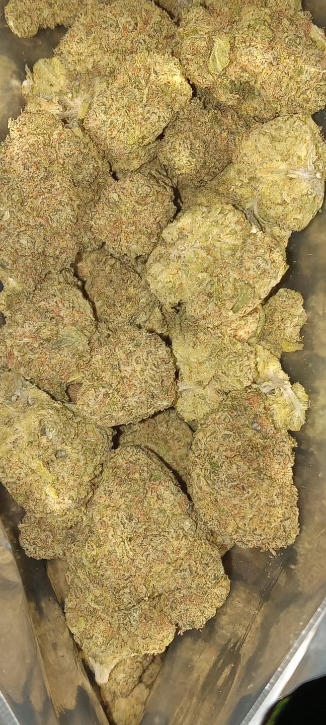 Customer photo review of Snake Venom THCA Flower