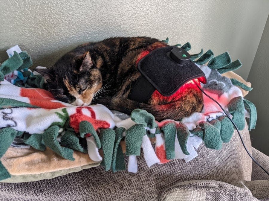 Customer photo review of Vetalux™ para gatos