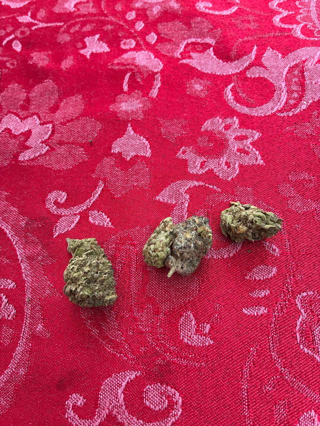 Customer photo review of Snake Venom THCA Flower