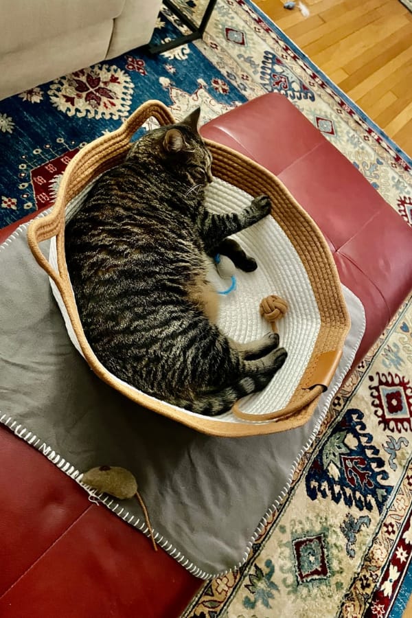 Customer photo review of Vyroon Wohlfühlnest™