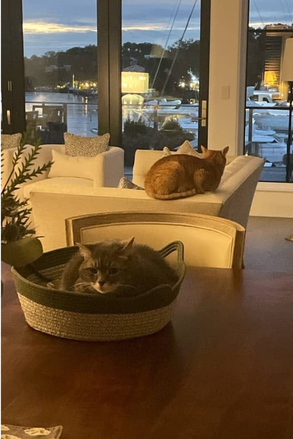 Customer photo review of Vyroon Wohlfühlnest™