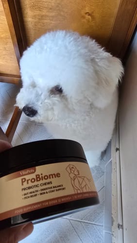 顧客的ProBiome狗狗益生菌軟粒包裝盒，後方有一隻白色蓬鬆小狗。