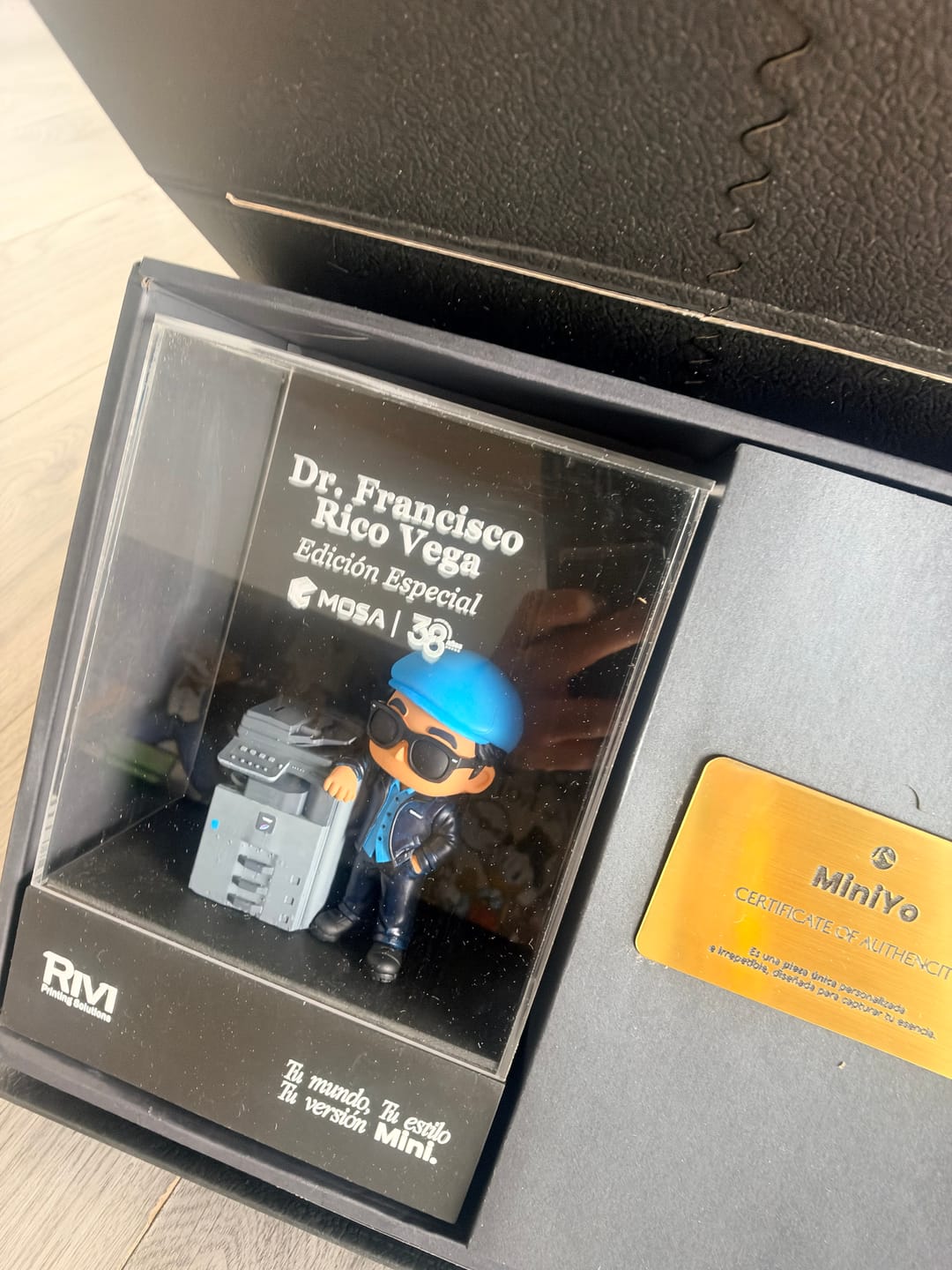 Customer photo review of MiniYo 3D – Edición Papá