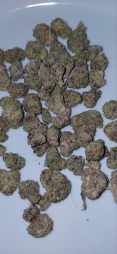 Customer photo review of Gold Spectrum THCA Flower (Connoisseur) - Purple Milk
