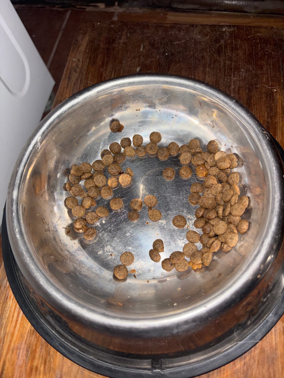 Customer photo review of PetFamily Foods Cachorros
